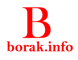 Borak.info